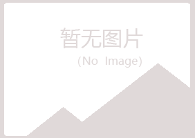 青铜峡紫山工程有限公司